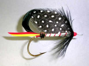 A classic wet fly with a classic wet fly hackle A classic wet fly with a classic wet fly hackle
