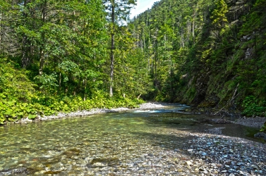 To fish or to look To fish or to look