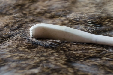 The ceramic scraper The ceramic scraper