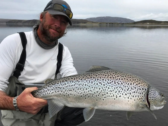 Prime condition Prime condition