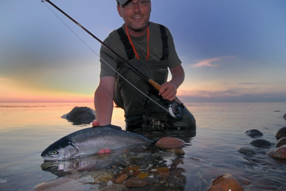 Rainbows and virus - image Rainbows and virus - image