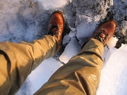 Glazed waders Glazed waders