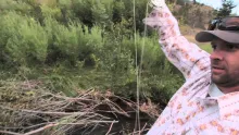 Video thumb for Schliske Bamboo