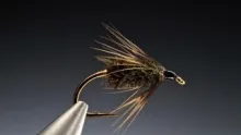 Video thumb for Coch-y-Bonddu