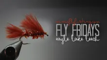 Video thumb for Eagle Lake Leech