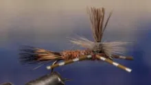 Video thumb for Iso Iso Baby