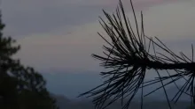 Video thumb for On The Fly - South Platte