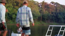 Video thumb for Pirarucú