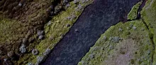 Video thumb for Wyrd