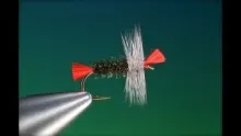 Video thumb for Bradshaw's Fancy