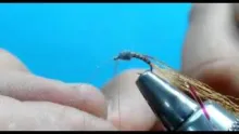 Video thumb for Biot emerger