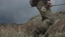 Video thumb for Bending the Big Sky