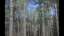Video thumb for Colorado Fly Fishing Road Trip