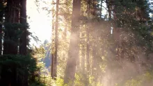 Video thumb for Fly-Fishing Documentary Teaser