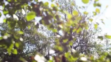 Video thumb for Lindberg goes fly fishing!