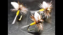 Video thumb for Foam Wing PMD