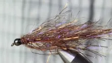 Video thumb for Polar Chenille Leech