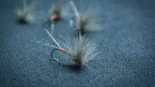 Video thumb for Iron Blue Dun
