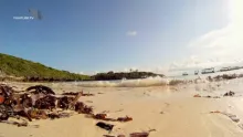 Video thumb for Raise Your Sword - sailfish on the fly