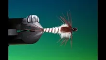 Video thumb for Large Mayfly Nymph