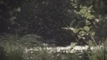 Video thumb for The River official trailer