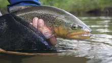 Video thumb for Taking Twice