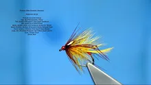 Video thumb for Golden Olive Bumble (Variant)