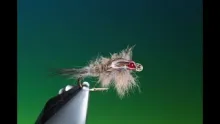 Video thumb for Muskrat Nymph