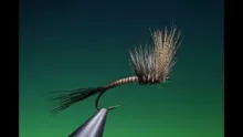 Video thumb for Mayfly Dun