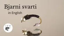 Video thumb for Bjarni Svarti