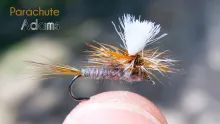 Video thumb for The way I tie a parachute