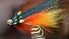 Video thumb for Yokanga Gold (Variant)