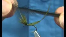 Video thumb for Hatchmaster Mayfly