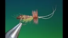 Video thumb for Burnt Wing Sedge