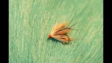 Video thumb for Anorexic Loch Ordie Hopper