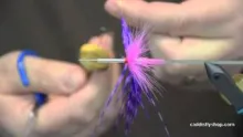 Video thumb for Stickel's Solar Flare Variation