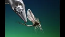 Video thumb for Tying Origami Wings