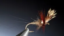 Video thumb for Klipspringer Cripple