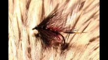Video thumb for Machair Claret