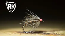 Video thumb for Black Wet Spider