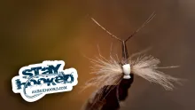 Video thumb for CDC Spent