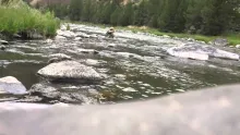 Video thumb for Indicator Under Films|Fly Fishing- Persistence Pays