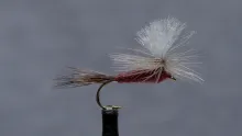 Video thumb for Isonychia Parachute