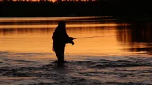 Video thumb for Kuhmo nature
