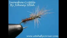 Video thumb for Snowshoe cripple