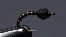 Video thumb for Black Beauty Midge
