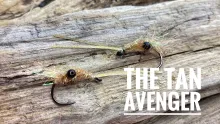 Video thumb for Tan Avenger