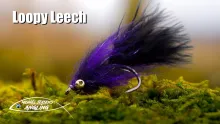 Video thumb for Loopy Leech