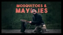 Video thumb for Somewhere Else