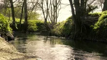 Video thumb for An Evening by the Stream